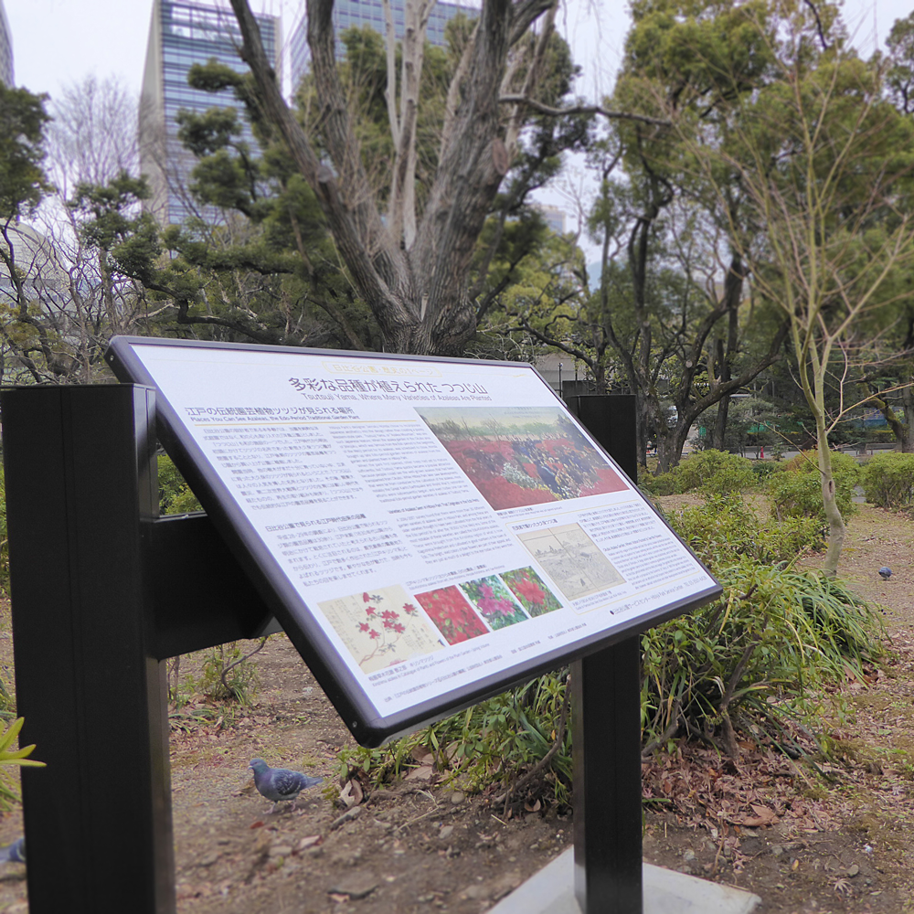 日比谷公園つつじ山案内板はオレンジペッパー 