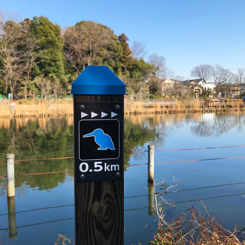 善福寺公園