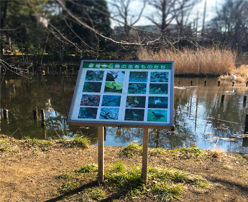 善福寺公園